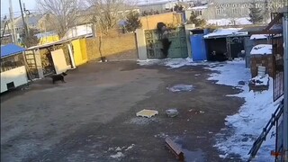 Pintu Besar: Aku benar-benar hebat kali ini