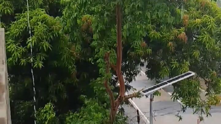 Rain🌧️
