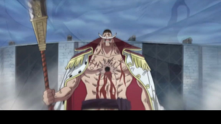 One Piece Râu trắng tại trận đại chiến   #animehay#animedacsac#FairyTail#Boruto#NarutoVN#Onepiece