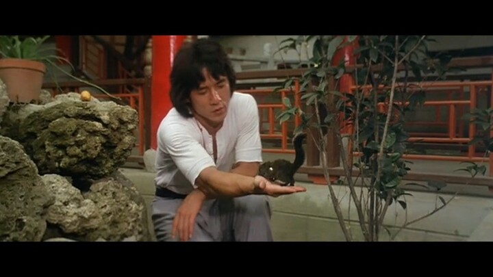 Dragon.Lord1.1982.EXTENDED.CUT.iNTERNAL.DVDRiP.x264-tehPARADOX