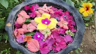 Garden Spa Bed & Breakfast in the Philippines 🇵🇭 Travel Vlog The Happsters