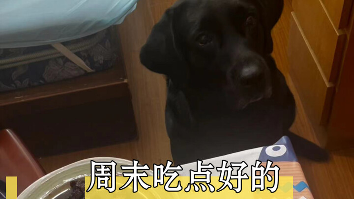 周末了，吃点好的＃黑色拉布拉多 #拉布拉多杰瑞 #穷鬼养狗 #杰瑞是小黑 #黑色垃圾桶