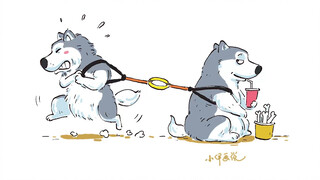 Dog: Hard work is worthless in front of talent