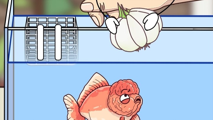 Sepanjang hidupnya, ikan itu saat masih hidup “dilindungi” oleh bawang putih, dan setelah mati “dihi