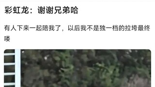 彩虹龙：谢谢兄弟哈，有人下来一起陪我了，以后我不是独一档的拉垮最终喽