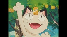 pokemon tập 96
