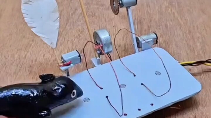 Chỉ khuyến khích những người thú vị