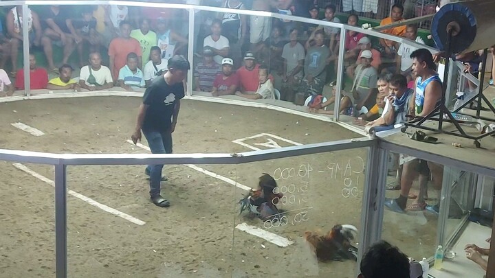 1st Fight 2wins #champion