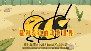 氰化欢乐秀：大过年的就这么刺激嘛？！