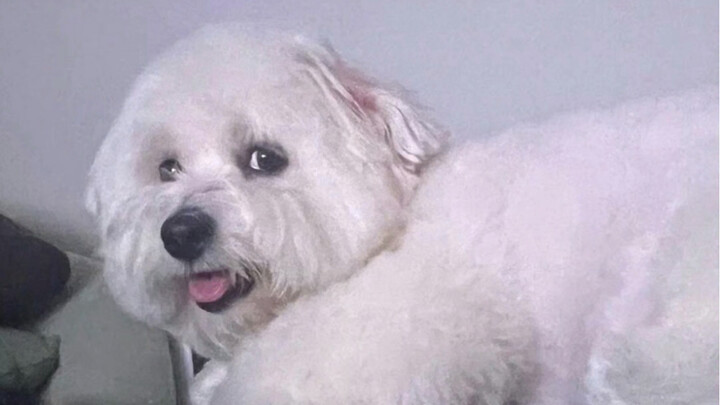 After Princess Nim left Cheolli, she met Choi Seung-min, and the gears of fate began to turn.