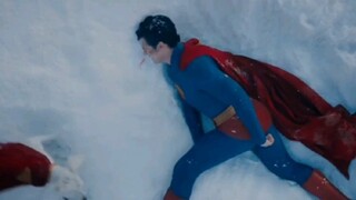 [Self-taught painting] Super dog saves Superman!