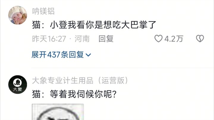 Got beat up by the big cat for not feeding him on time—little cat: “You clearly can’t tell who’s the