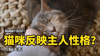 你的猫会反映你的潜意识性格？看看你中枪了吗