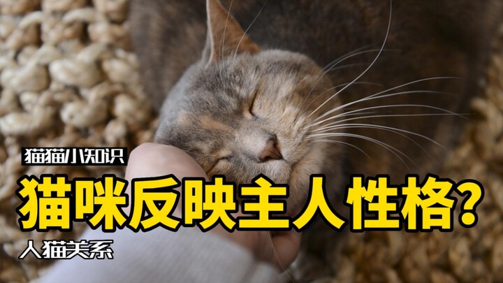 你的猫会反映你的潜意识性格？看看你中枪了吗