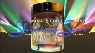 Wink - First Live Shining Star ~Dreamy Concert Tour On 1990~