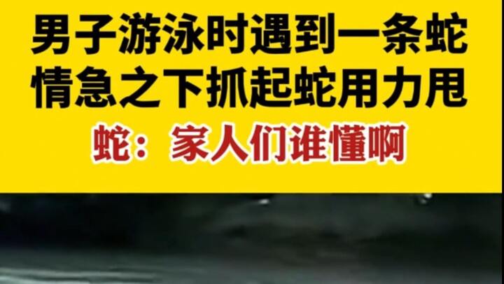 蛇：我靠！家人们谁懂啊！