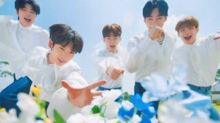 [ZB1] Debut title track "In Bloom" MV!