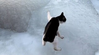 ขอบคุณมี่มี่ที่พาทางมา แต่มันตลกจริงๆ ฮ่าฮ่าฮ่าฮ่า