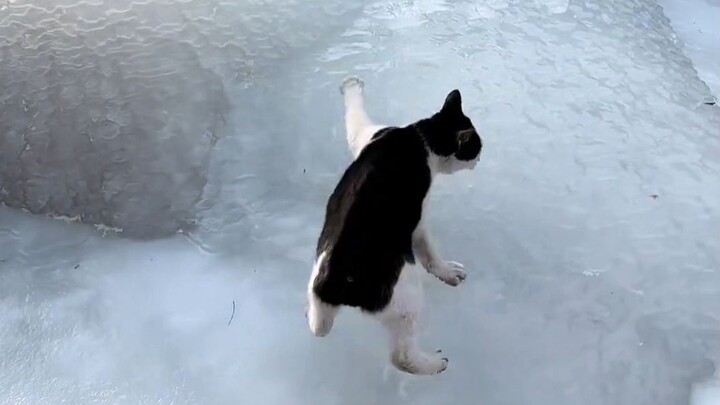 Thanks, Mimi, for showing us the way, but this is seriously hilarious hahahahaha