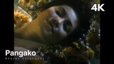 Regine Velasquez - Pangako (Official HD Music Video) (From Pangako... Ikaw Lang)