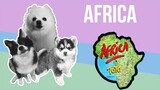 Africa but it's Doggos and Gabe
