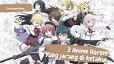 3 Anime Harem Yang Jarang Diketahui