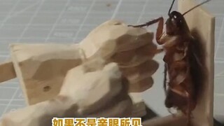 A young lady created 100 torture instruments just to kill cockroaches