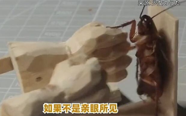 A young lady created 100 torture instruments just to kill cockroaches