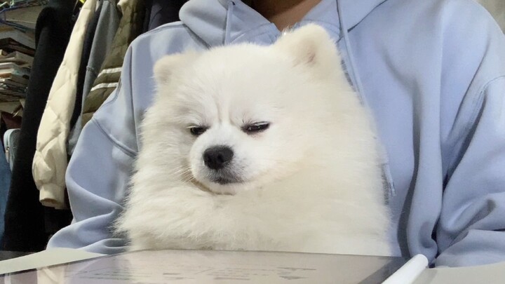 课郎 别人都像你 但别人都不是你