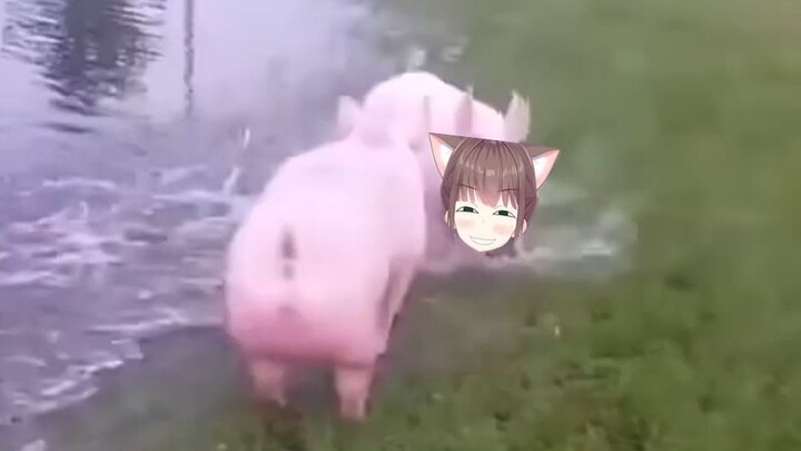 Selamat ASAKI