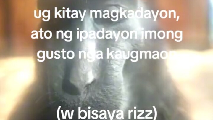 bisaya rizz