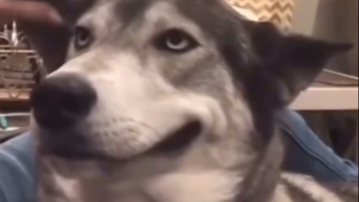 My mouth is almost splitting open to my ears!