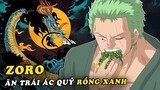 Tác giả Oda tiết lộ Zoro ăn trái ác quỷ Rồng Xanh của Kaido , Nami ăn trái sấm sét - SBS One Piece