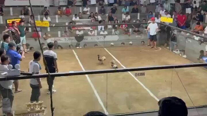 amv vs rmc