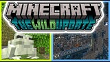 FULL 1.19 Minecraft Review of Wild Update!
