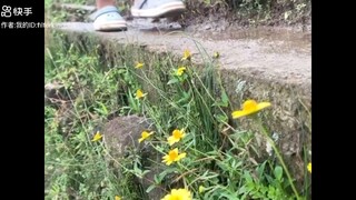 簡單活著，風來聽風，雨來聽雨，人生百味，隨意就好。