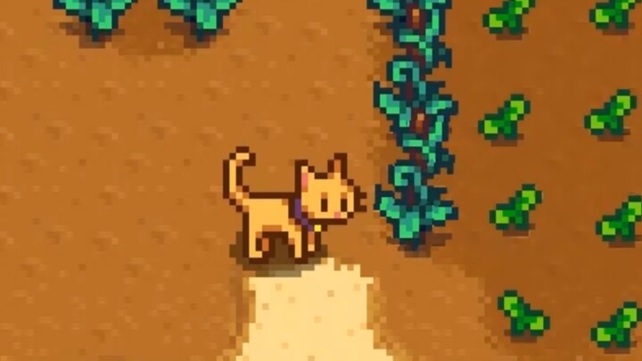 Mèo trong Stardew Valley đáng yêu đến vậy sao