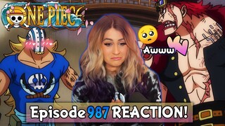 KILLER IS A GOOD BOY 🥺 👉👈 | One Piece Episode 987 Reaction + Review!