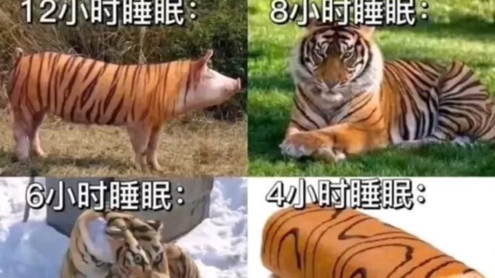 You in Different States of Sleep