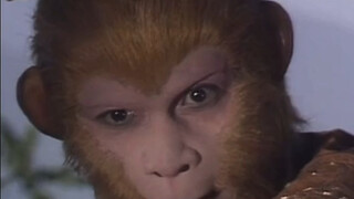 Monkey King: I was so busy practicing magic that I forgot to punish you.