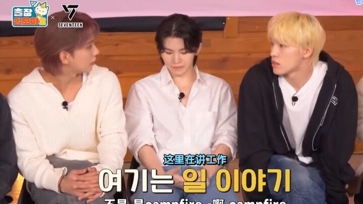 【SEVENTEEN】Seriously Lying: “Campfire or FML?”