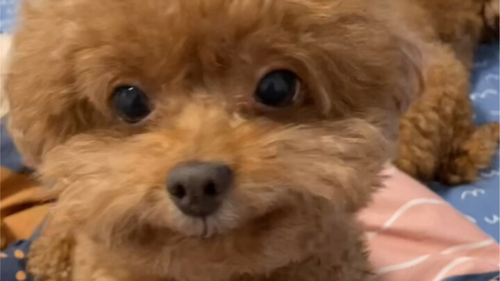 Oops, we look exactly alike!