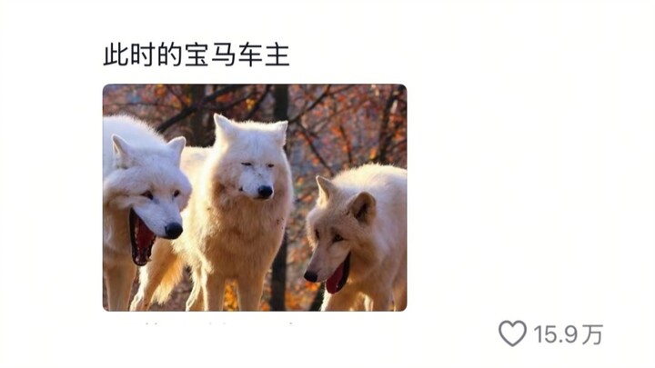 As expected! People never feel tired when they’re up to no good.