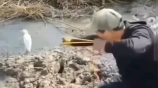 ปลา? #คลิปฮาๆ #รวมพฤติกรรมชวนงงสุดฮา