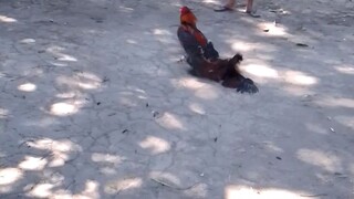 sayang yung manok