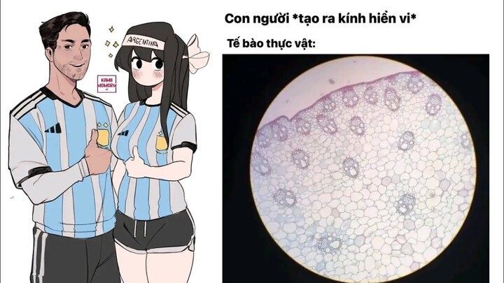 Ảnh chế P114 || Komi nhưng mà fan của Messi || Meme for cylot