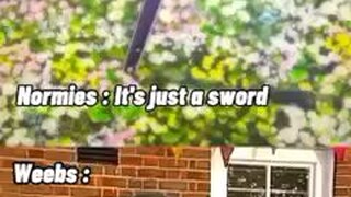 Just a Sword?