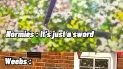 Just a Sword?