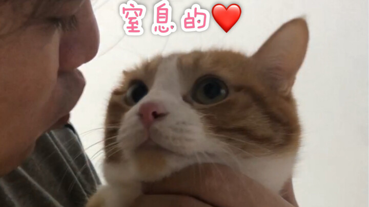【A-Mi】He’s here, he’s here—coming over with his lips pouted!