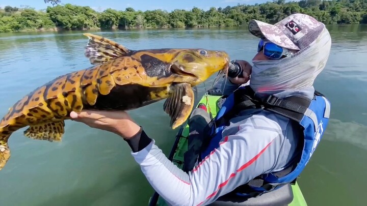 Olahraga|Memancing di Sungai Amazon